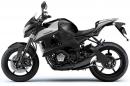 Kawasaki Z1000 2010 (спекулации)