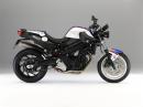 BMW F 800 R във вид на реплика на Крис Пфайфър