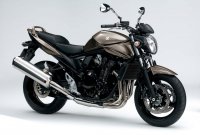 Suzuki представи модел 2010 на Bandit 1250