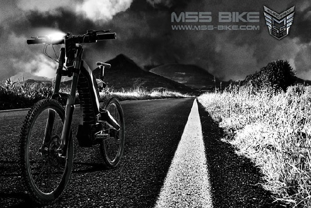 M55 Bike EVO-001