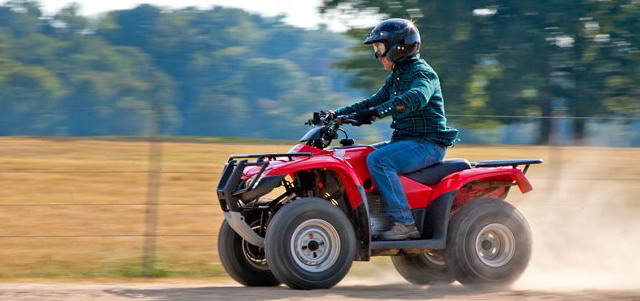 Honda FourTrax TRX250 2011