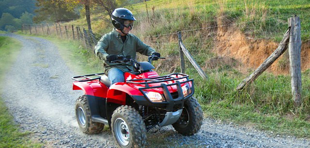 Honda FourTrax TRX250 2011