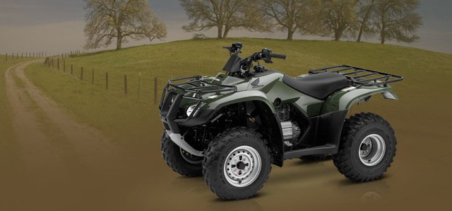 Honda FourTrax TRX250 2011