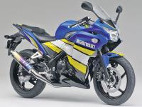 И Moriwaki тунингова Honda CBR250R