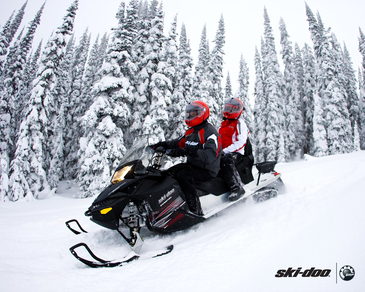 Bombardier Ski-Doo Expedition 2011