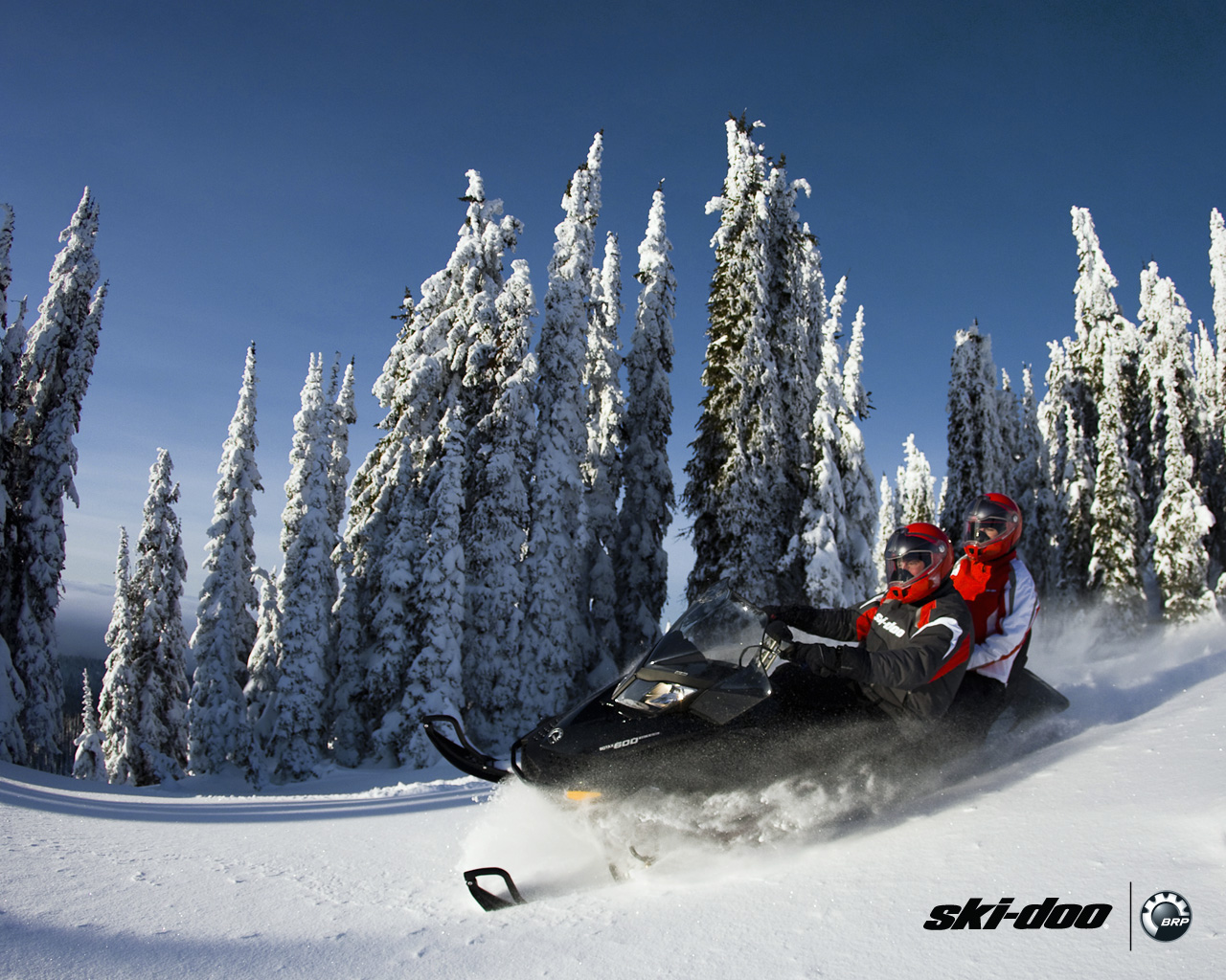 Bombardier Ski-Doo Expedition 2011