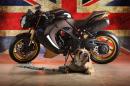 Vilner Custom Bike Bulldog