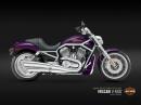 Harley-Davidson V-Rod 2008