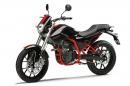 Terra Adventure 125 и Mulhacen Cafe 125