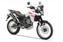 Terra Adventure 125 и Mulhacen Cafe 125